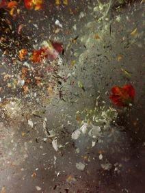 ORI GERSHT – Still and Forever: Brand New Gallery, Milano