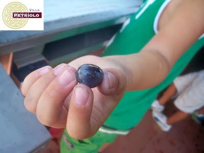 Qualcuno mi ha detto che avevo le mani colme...