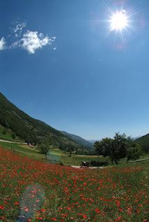 CAMPANIA cilento