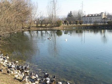 Quasi un giorno di primavera