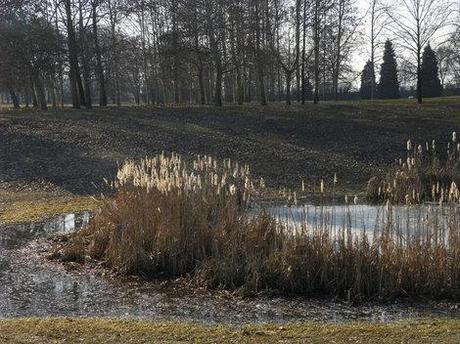 Quasi un giorno di primavera