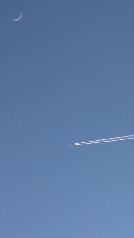 IMG_2519 - Plane, Moon and Venus in Daylight (5 PM)