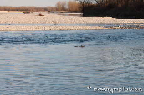 Piave