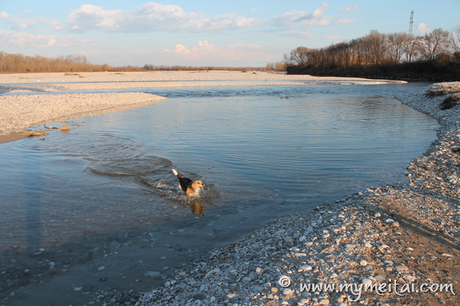 Piave