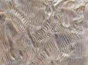 FOCUS ON... Gabriele Colangelo Tissues 2012.13 Texture