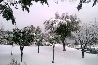 La sacra neve di Roma... Roman Sacred Snow