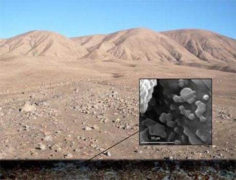 SOLID scopre nuova vita nel Deserto dell’Atacama