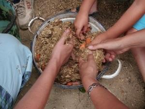 L’ortoterapia in Lombardia. Scuola agraria Parco di Monza.