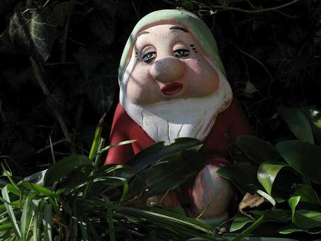 Just like Amelie: garden gnomes are great travelers - photographs in chiaroscuro