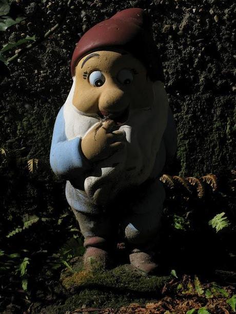 Just like Amelie: garden gnomes are great travelers - photographs in chiaroscuro