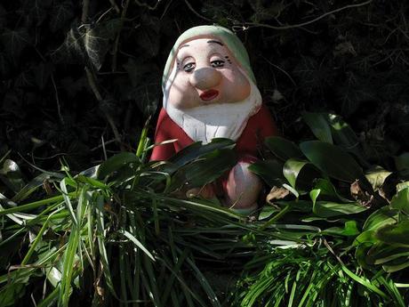 Just like Amelie: garden gnomes are great travelers - photographs in chiaroscuro