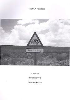Assaggi di romanzi inediti - da IL VOLO INTERROTTO DEGLI ANGELI: Gabriele costretto a nascondersi