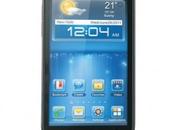 2012: Mimosa [Scheda Tecnica Foto]