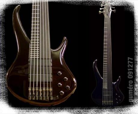 Sei Bass - Flamboyant 7 String Fretted/Fretless