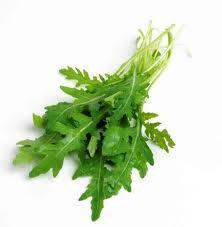 rucola