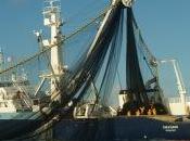 Costa Allegra trainata fino Mahé, "per ragioni sicurezza". Arriverà giovedì