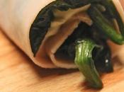 Involtini tacchino. ricetta prova scemo.