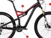 SPECIALIZED: Tecnologia 29ER