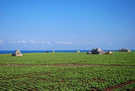 Tradizione gastronomica e patrimonio rurale nei GAL della Provincia di Bari