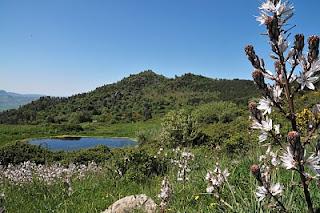 Salendo in vetta al Monte Altesina Leonforte (En), Domenica 4 marzo.