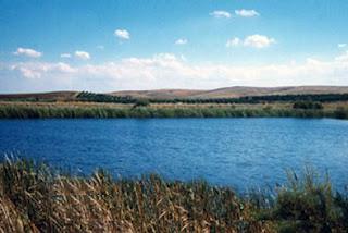 Riserva naturale Biviere di Gela