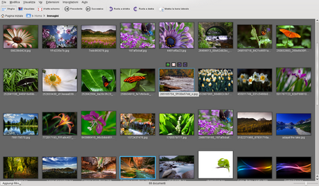 Gwenview visualizzatore di immagini predefinito dell'ambiente desktop KDE.