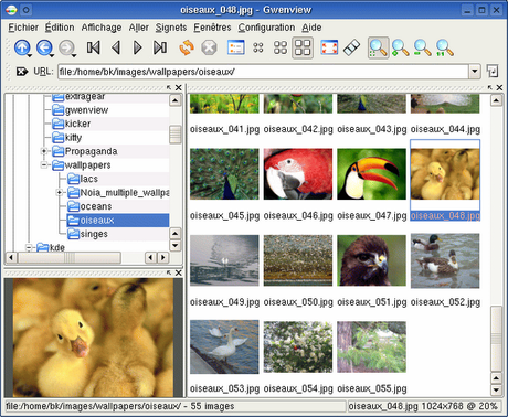 Gwenview visualizzatore di immagini predefinito dell'ambiente desktop KDE.