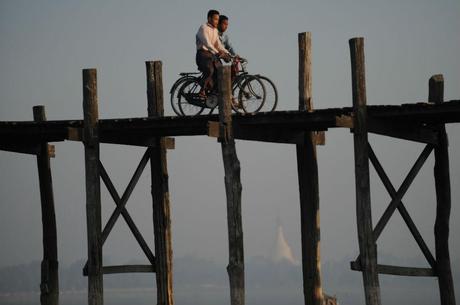 La legge di Vique in Bicicletta e la Parrottologia  Pneumatica