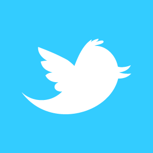 Twitter, il nome del logo è Larry