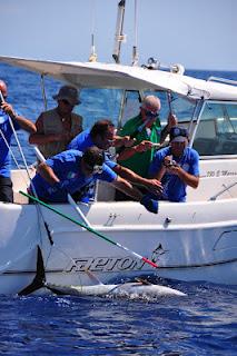 Pochi pesci, molte norme. Parola di Navarrini Pochi pesci, molte norme. Parola di Navarrini