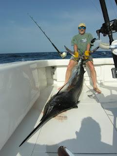 Pochi pesci, molte norme. Parola di Navarrini Pochi pesci, molte norme. Parola di Navarrini