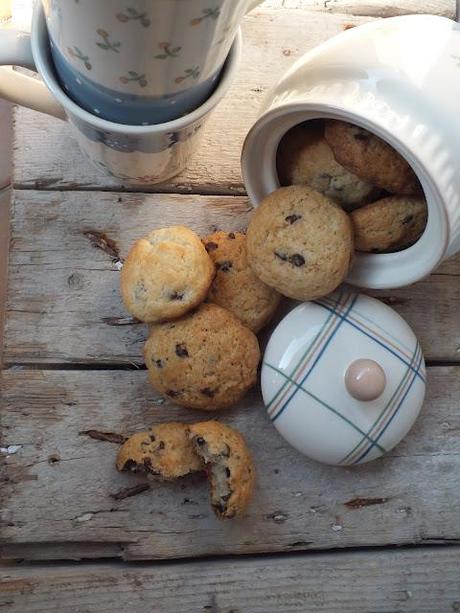 Biscotti al cioccolato perchè oggi incomincia Cioccolatò!