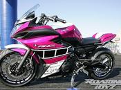 Yamaha FZ6R (XJ6 Diversion) Roaring Toyz