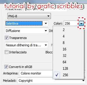 Salvare un'immagine ottimizzata per il web con Photoshop, Tutorial