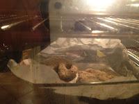 Pac-man vs cannellini