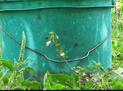 “Wasa 2012” allo Studio Firenze