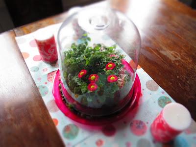 Terrarium 