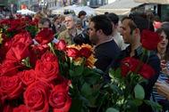 Sant Jordi by tobitasflickr