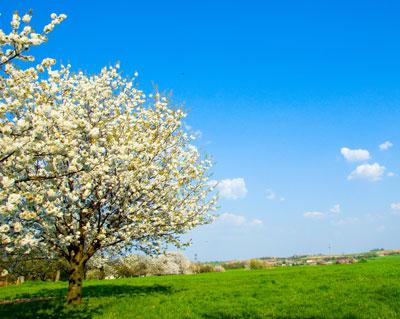 primavera Milano: Temperature Record, 23 Gradi