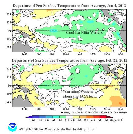 NINA VOLGE AL TERMINE,EL NINO IN ARRIVO?