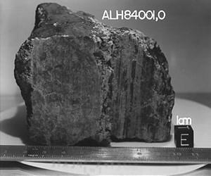 ALH8401, un meteorite marziano ricca di storia
