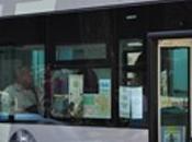 Roma ecco Green