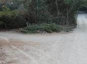 Colle della Trinità sarà presto giungla?