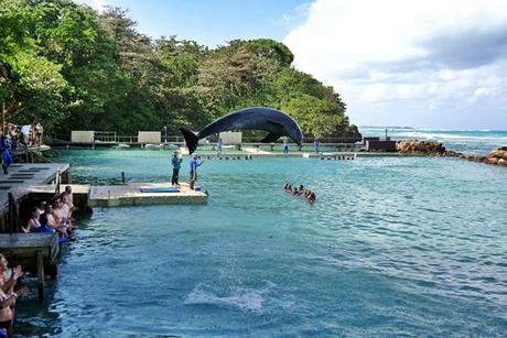 ‘Siamoappenatornati’, racconti fotografici di viaggio: i Caraibi Magici di Costa Atlantica (III). Ocho Rios.