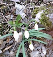 Primavera-vilazim in Terska dolina