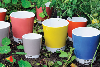 Pantone in giardino