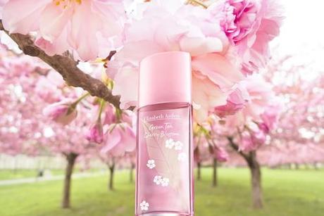 GREEN TEA CHERRY BLOSSOM, un’essenza emblematica