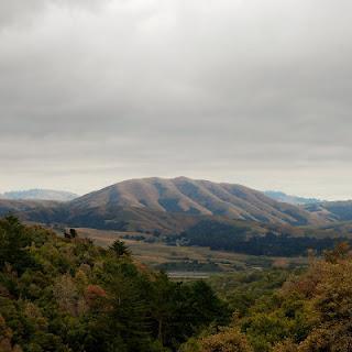 Dirty Projectors + Björk - Dirty Projectors + Björk -