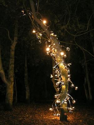 Luci nel bosco: Rune Generiussen