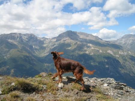 val di più una valle